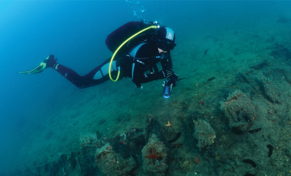 The Last Voyage of Gagliana Grossa